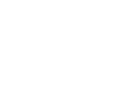 Syste Store